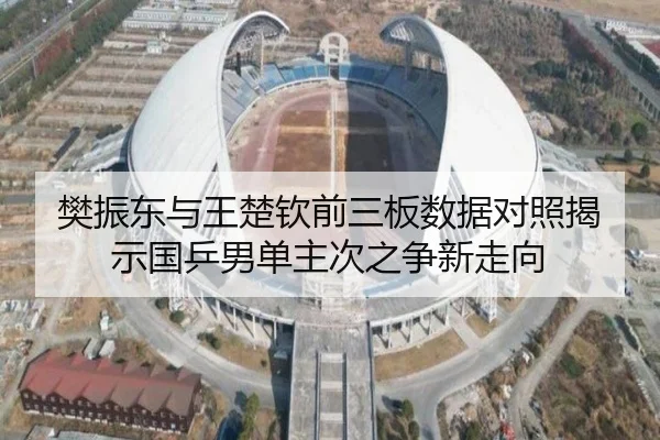 樊振东与王楚钦前三板数据对照揭示国乒男单主次之争新走向